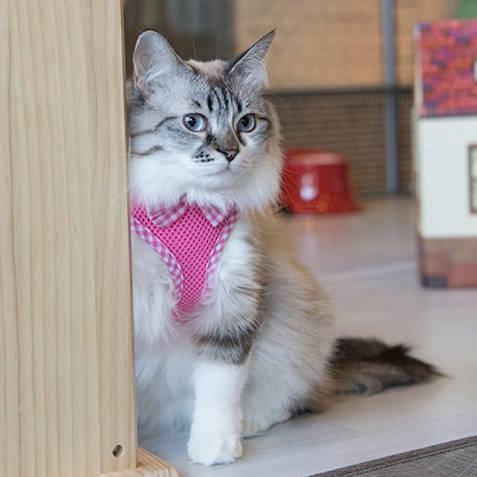Catspia Evie Harness B 粉紅色 M
