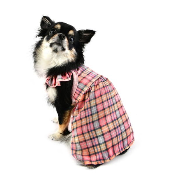 Pinkaholic Annie