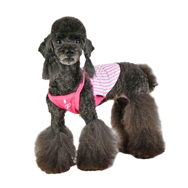 Puppia Ruth