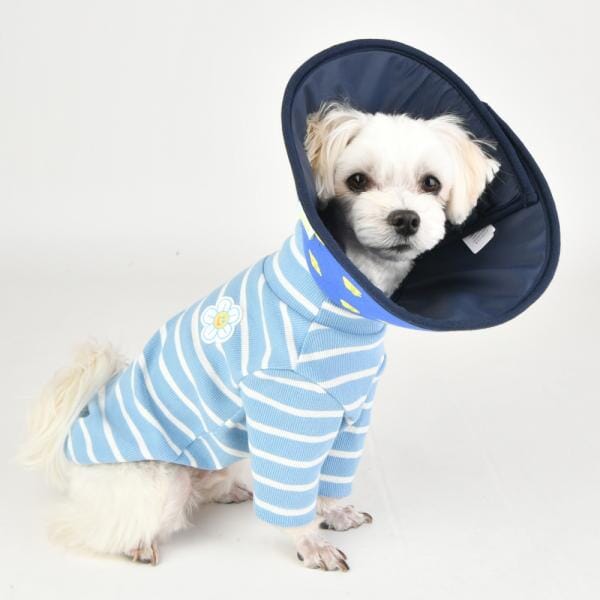 Olchi Jelly Bear Neck Collar 寵物頭套