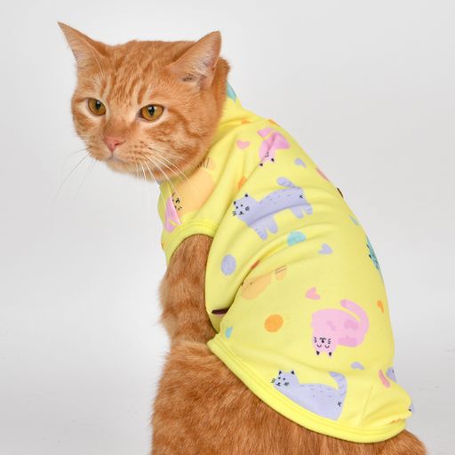 Catspia Gata Yellow