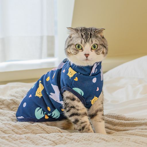 Catspia Gata Navy