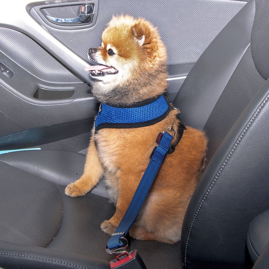 Puppia Simple Dog Seatbelt Lead 狗安全帶