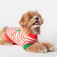Puppia Mate