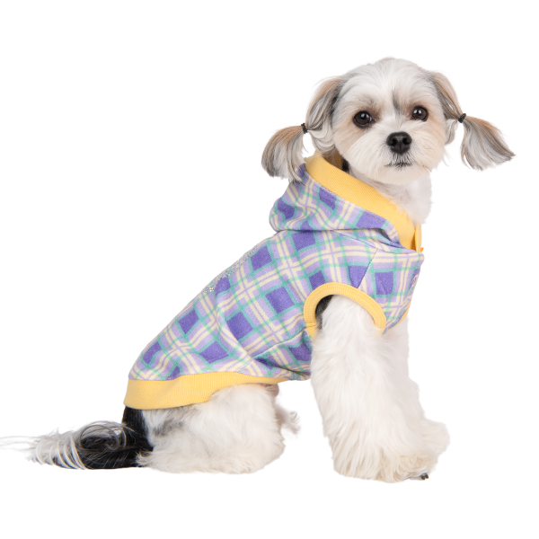 Puppia Burke