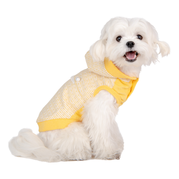 Puppia Ramsay