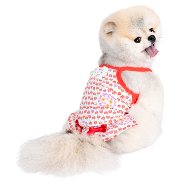 Puppia Anwen