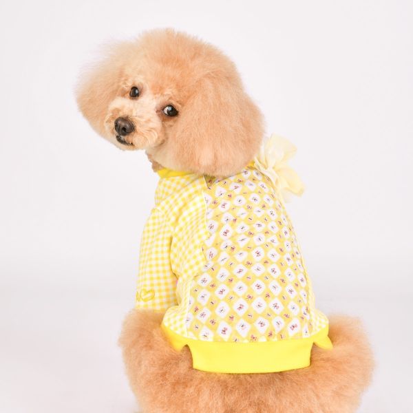 Pinkaholic Alaia