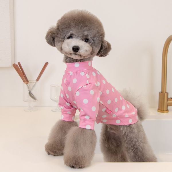 Pinkaholic Pamina